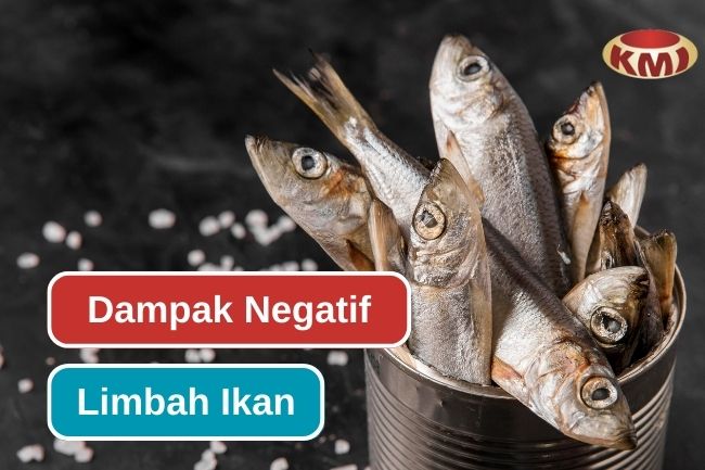 4 Dampak Lingkungan dari Limbah Ikan yang Dibuang Sembarangan